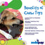 Gingerbread Man Nylon Dog Chew Toy for Aggressive Chewers | USA Made Nylon Dog Toys SodaPup/True Dogs, LLC
