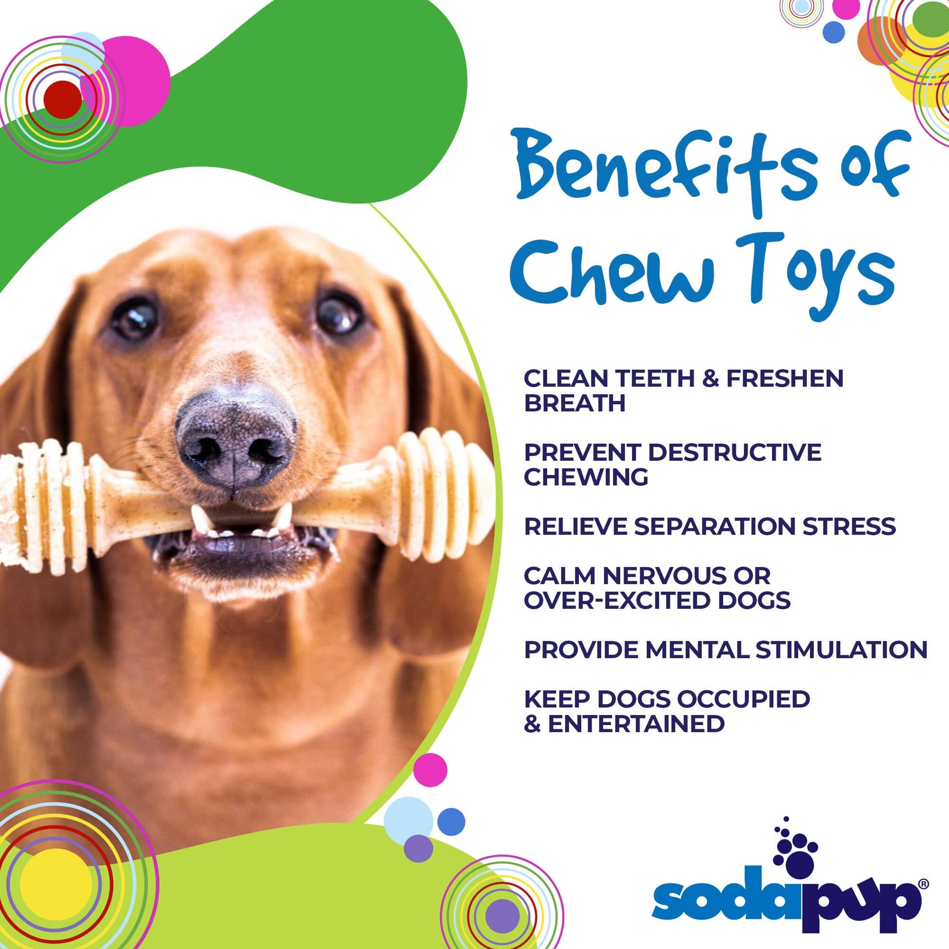 Honey Bone Nylon Dog Toy for Aggressive Chewers | Indestructible | USA Made Nylon Dog Toys SodaPup/True Dogs, LLC