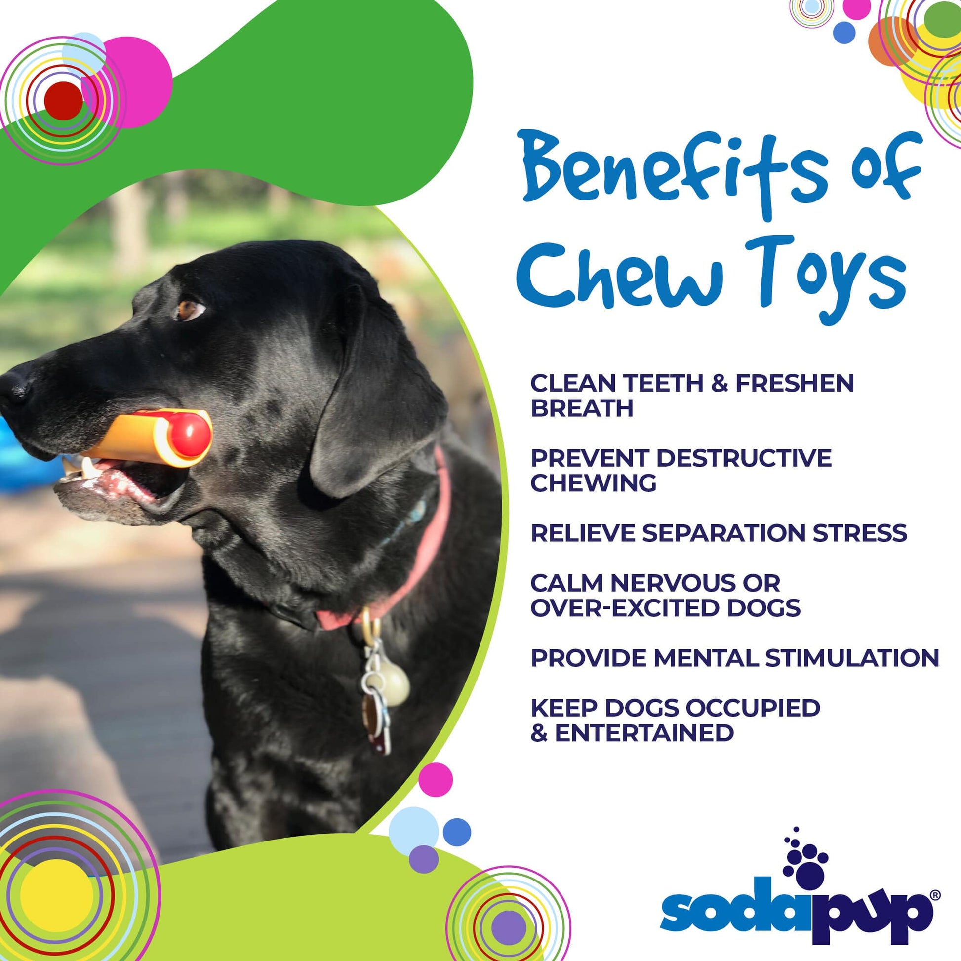 Hot Dog Nylon Dog Toy for Aggressive Chewers | USA Made | SodaPup Nylon Dog Toys SodaPup/True Dogs, LLC