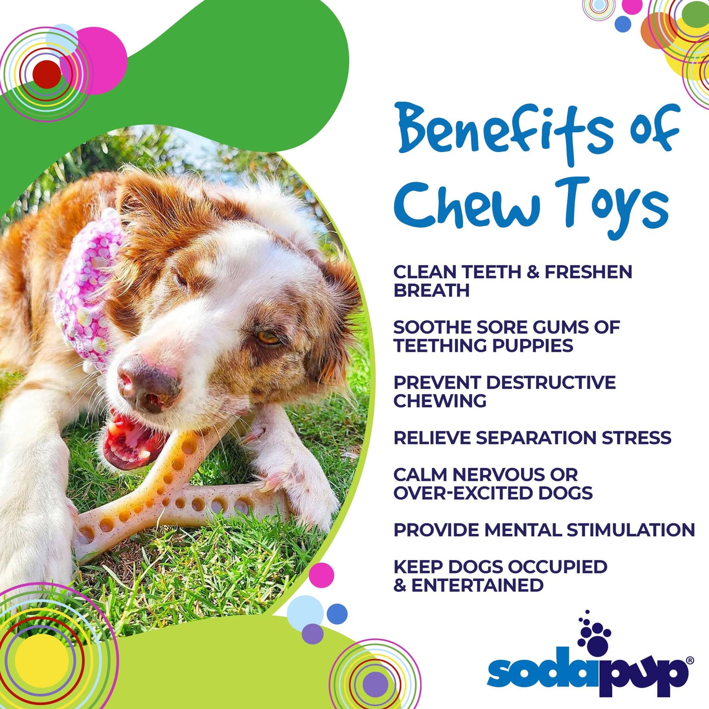 MOD Wishbone Nylon Dog Chew Toy for Aggressive Chewers | USA Made Nylon Dog Toys SodaPup/True Dogs, LLC