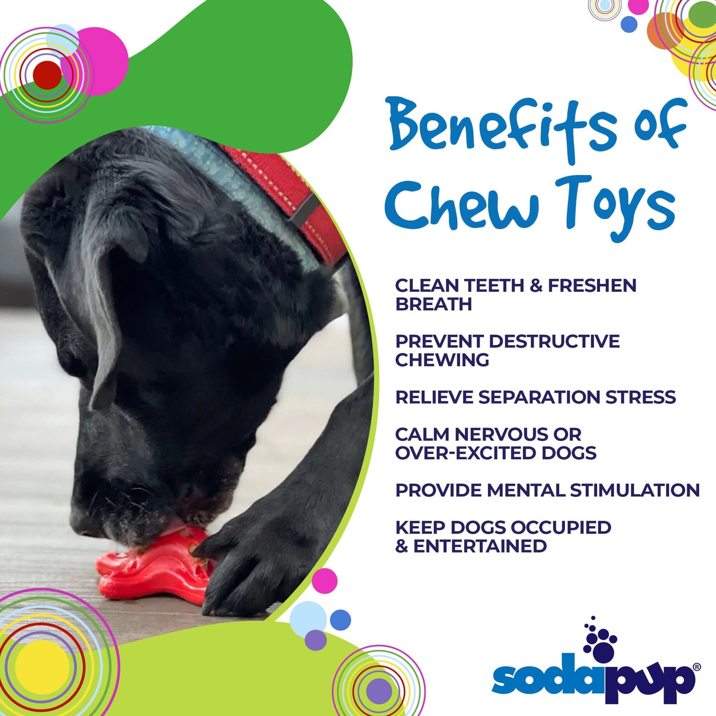 Starfish Nylon Dog Chew Toy for Aggressive Chewers | USA Made | SodaPup Nylon Dog Toys SodaPup/True Dogs, LLC