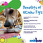 Turtle Nylon Chew Toy - Ultra-Durable Enrichment Toy for Power Chewers USA Nylon Dog Toys SodaPup/True Dogs, LLC