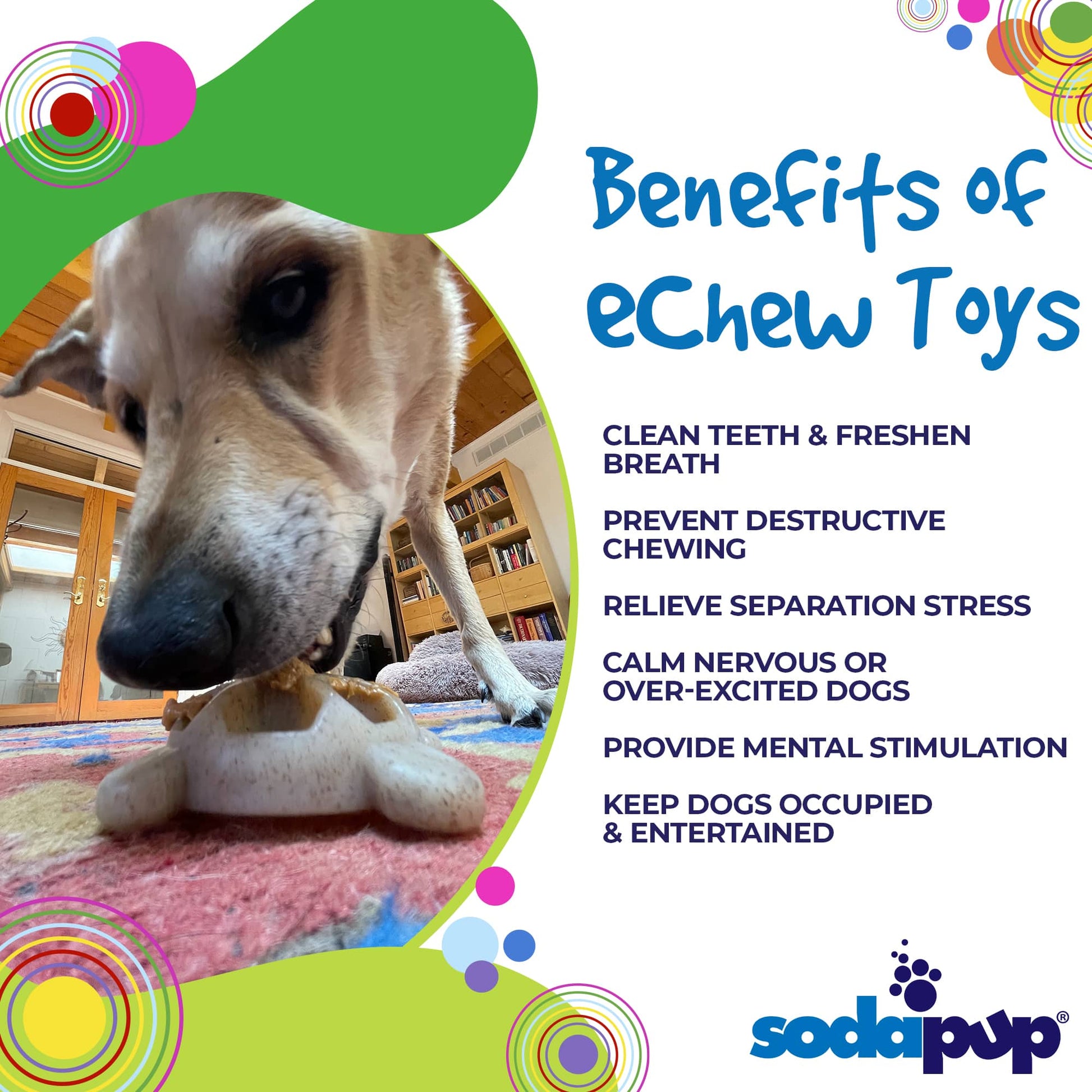Turtle Nylon Chew Toy - Ultra-Durable Enrichment Toy for Power Chewers USA Nylon Dog Toys SodaPup/True Dogs, LLC