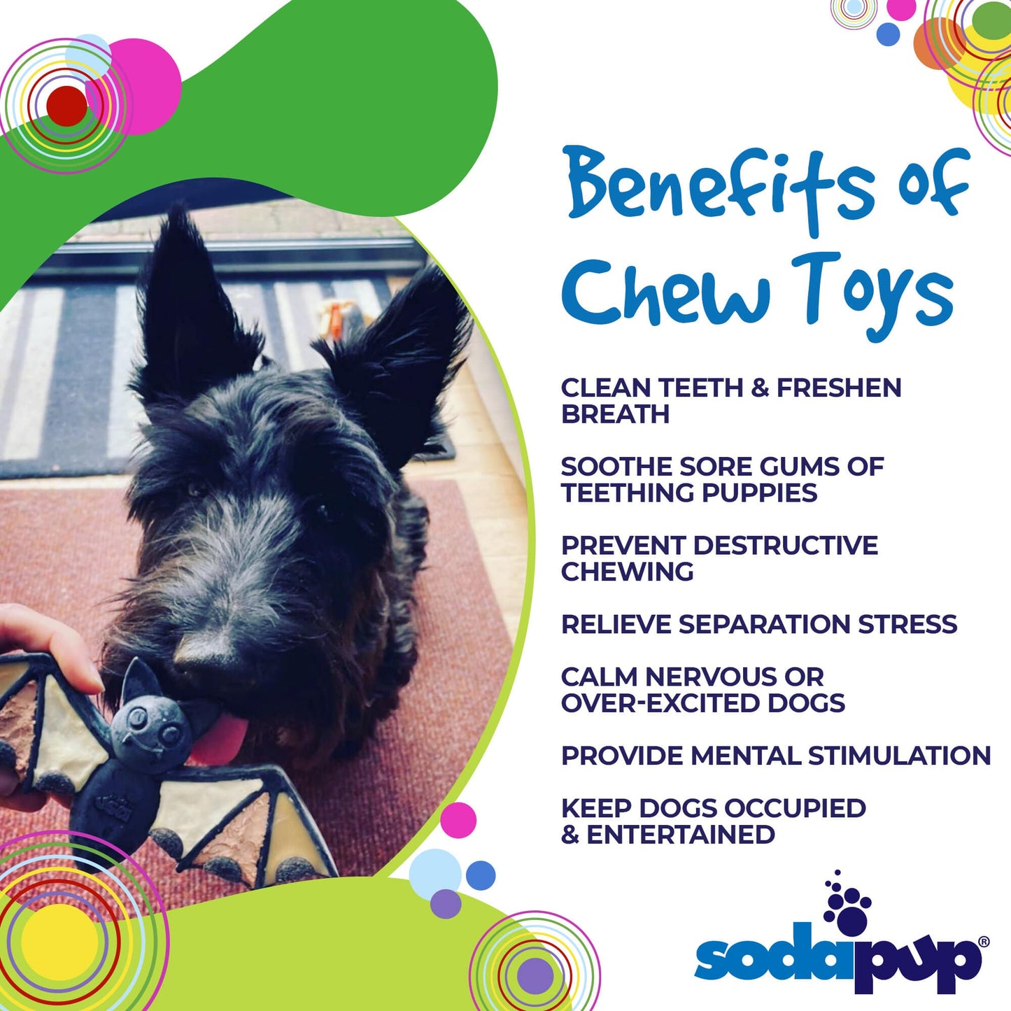 Vampire Bat Nylon Dog Chew Toy for Aggressive Chewers | USA Made & FDA Compliant Nylon Dog Toys SodaPup/True Dogs, LLC