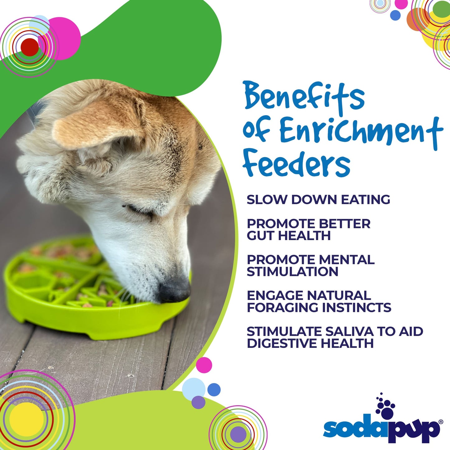 Four Seasons eTray - Shallow Slow Feeder Dog Bowl for Enrichment | USA Made ETRAY SodaPup/True Dogs, LLC