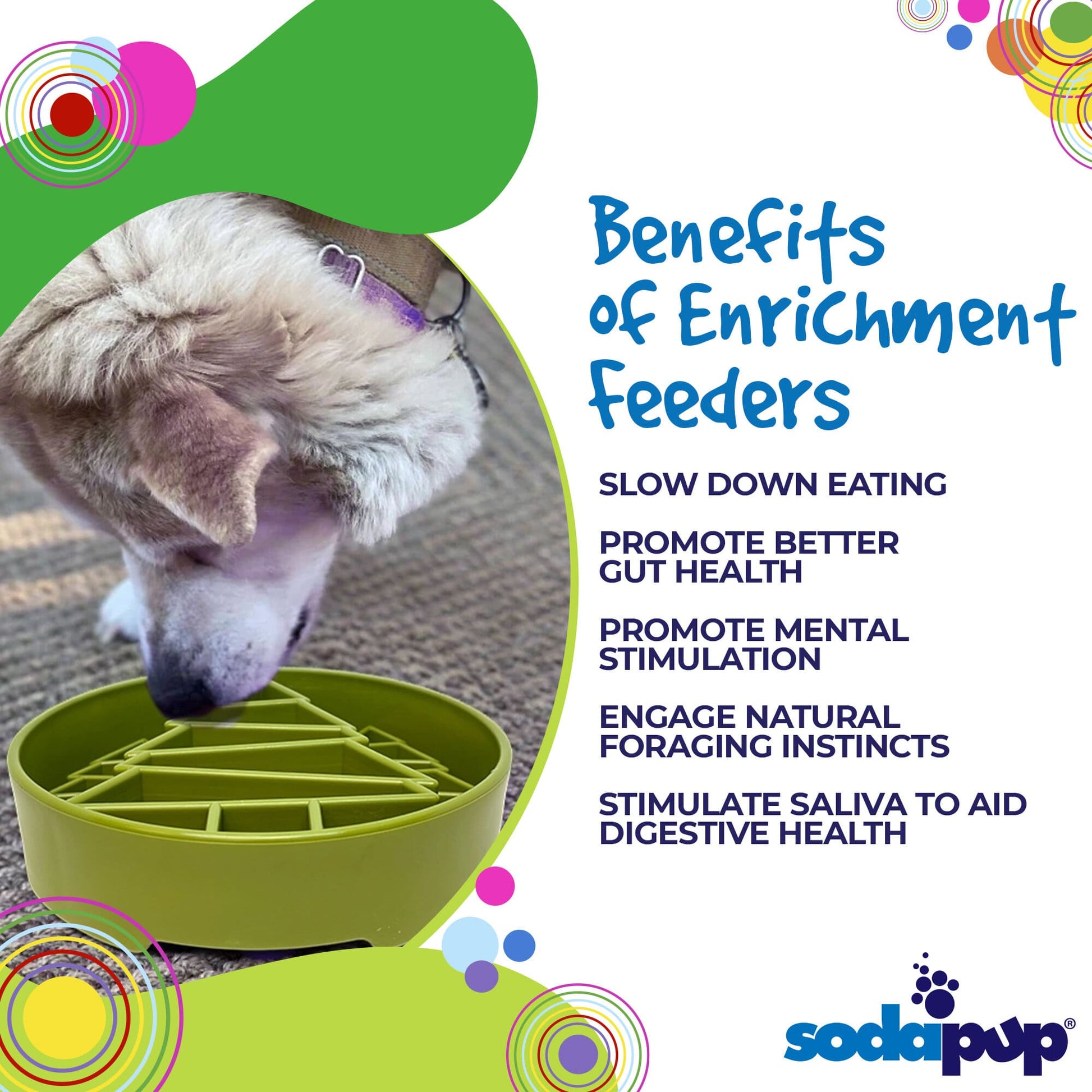 Pine Tree Christmas eBowl Deep Slow Feeder Dog Bowl for Enrichment | USA Made EBOWL SodaPup/True Dogs, LLC