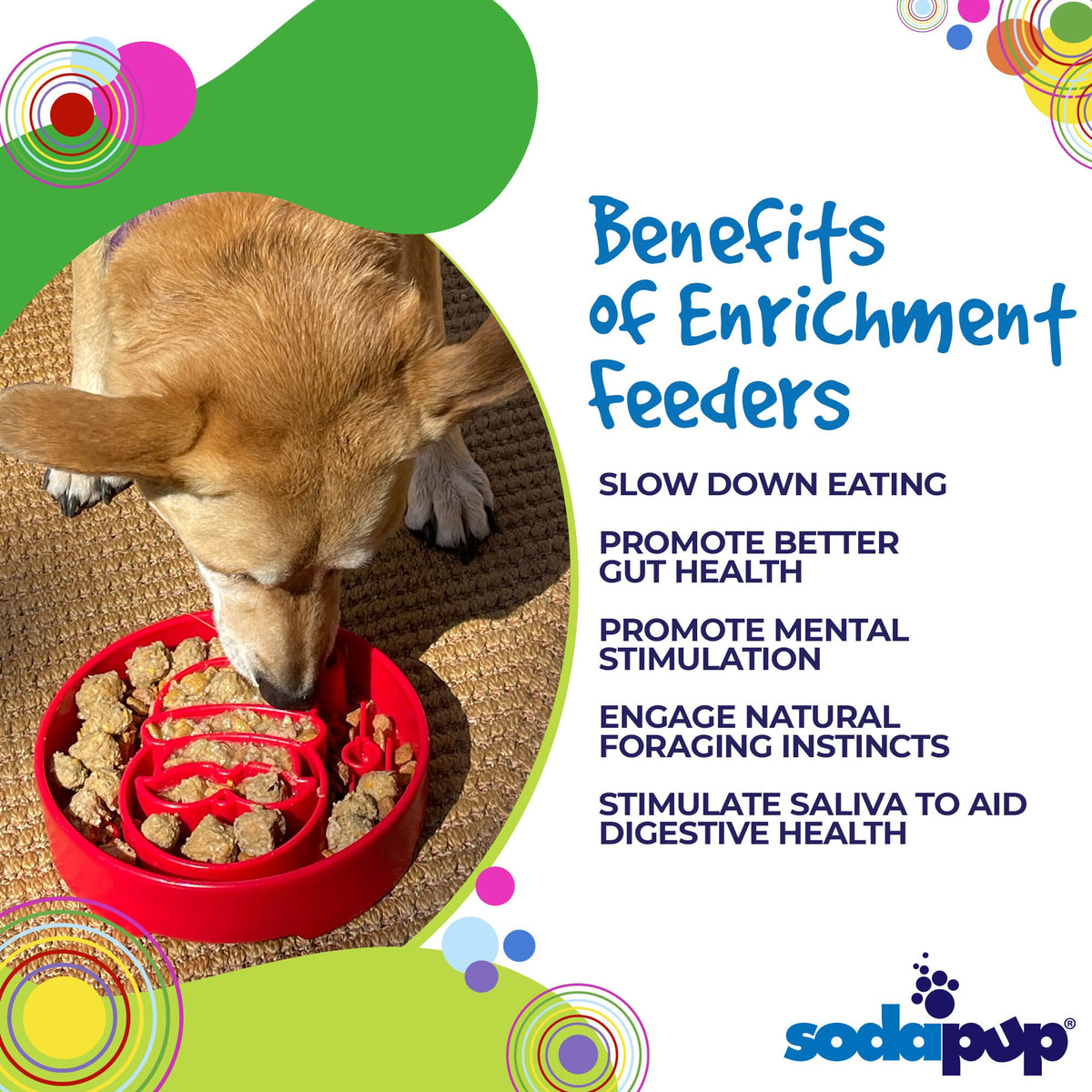 Santa Christmas eBowl Deep Slow Feeder Dog Bowl for Enrichment | USA Made EBOWL SodaPup/True Dogs, LLC