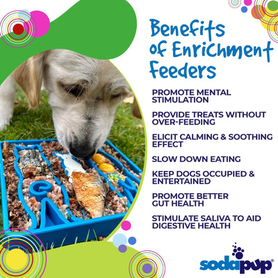 Waiting Dogs eTray - Shallow Slow Feeder Bowl for Enrichment | USA Made ETRAY SodaPup/True Dogs, LLC