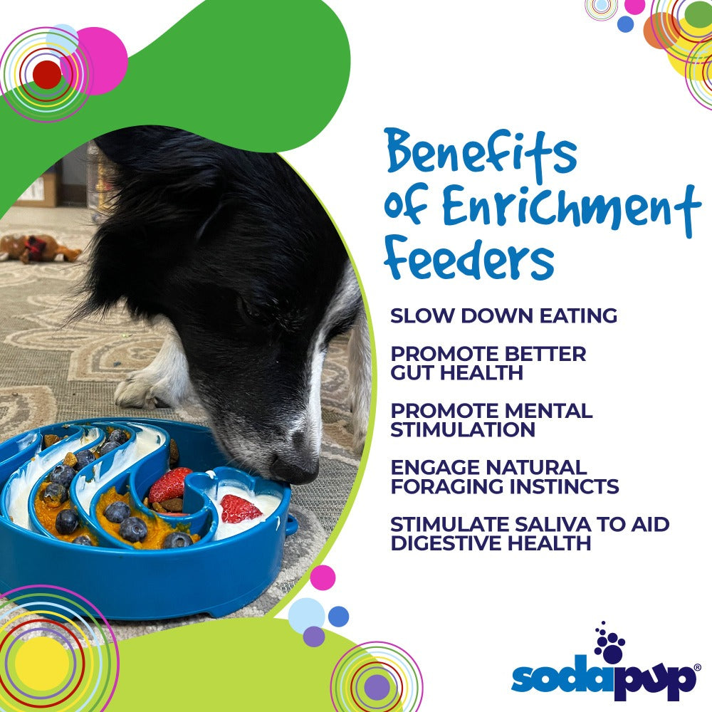 Wave eBowl Deep Slow Feeder Dog Bowl for Enrichment | Made in USA EBOWL SodaPup/True Dogs, LLC