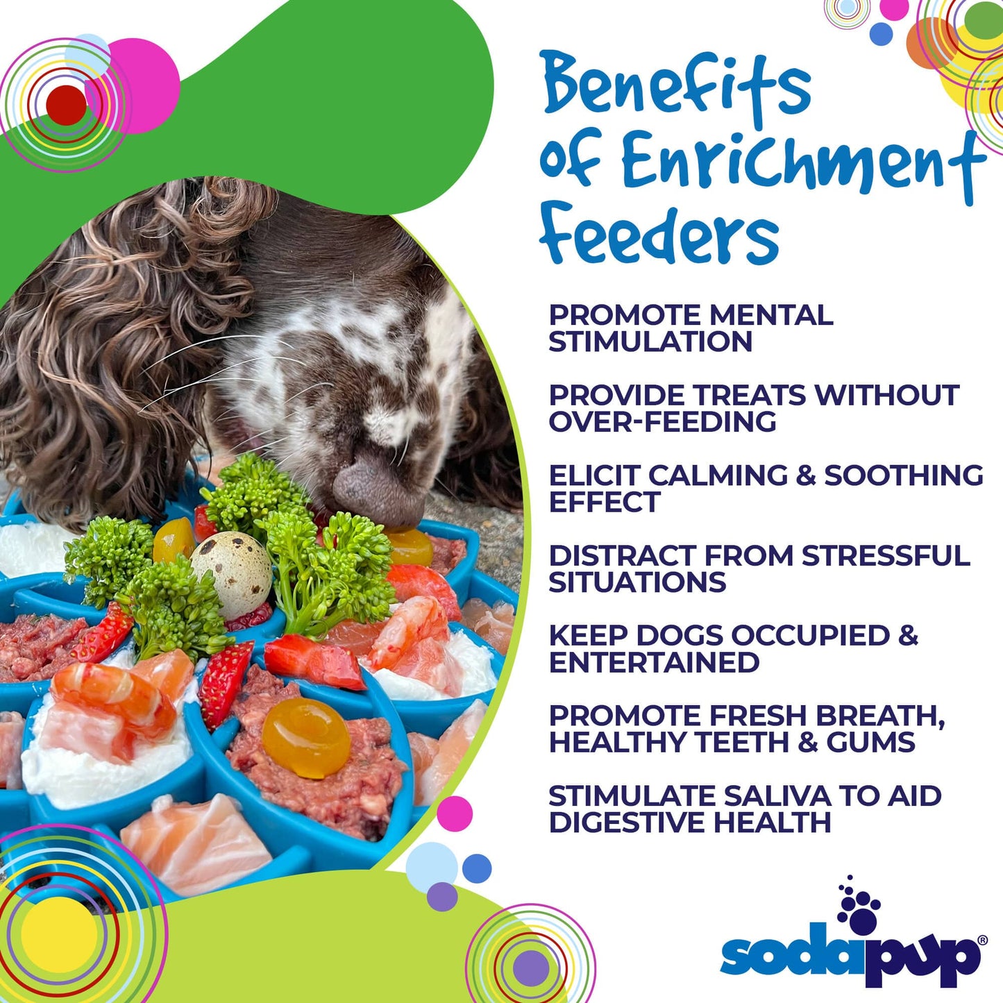 Mandala eTray Shallow Slow Feeder Dog Bowl for Enrichment | USA Made ETRAY SodaPup/True Dogs, LLC