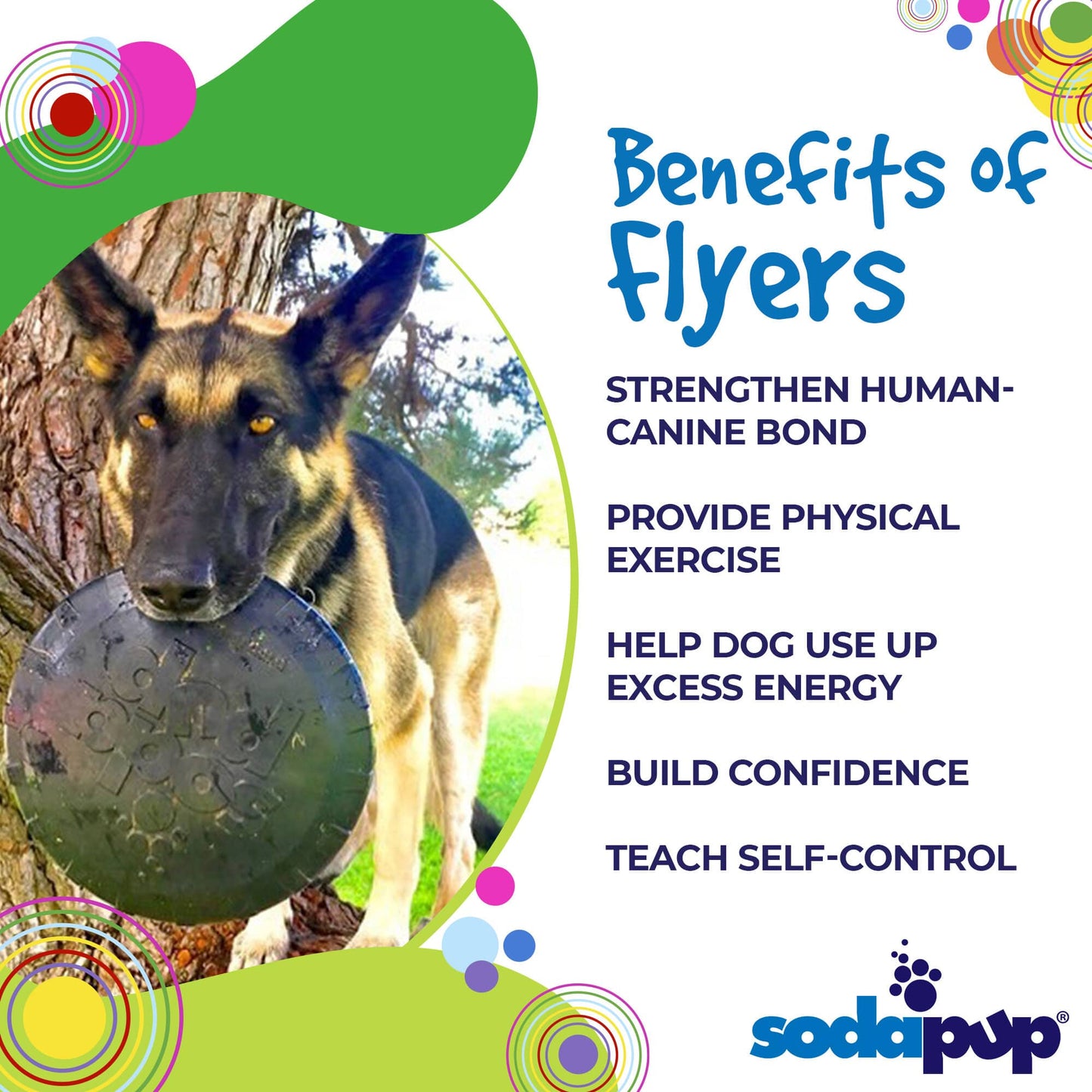 Magnum Bottle Top Flyer Rubber Frisbee for Heavy Chewers | Large | USA Made Rubber Dog Toys SodaPup/True Dogs, LLC