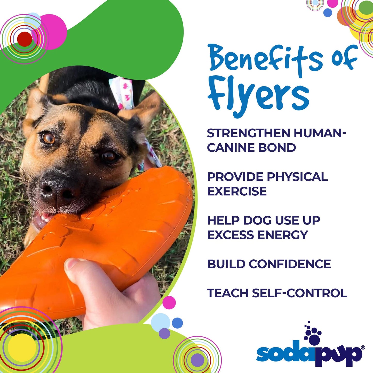 Bottle Top Flyer Rubber Frisbee for Dogs | Orange | Vet Approved | USA Made Rubber Dog Toys SodaPup/True Dogs, LLC
