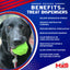 Bull Frog Dog Chew Toy & Treat Dispenser - USA Made | SodaPup Rubber Dog Toys SodaPup/True Dogs, LLC