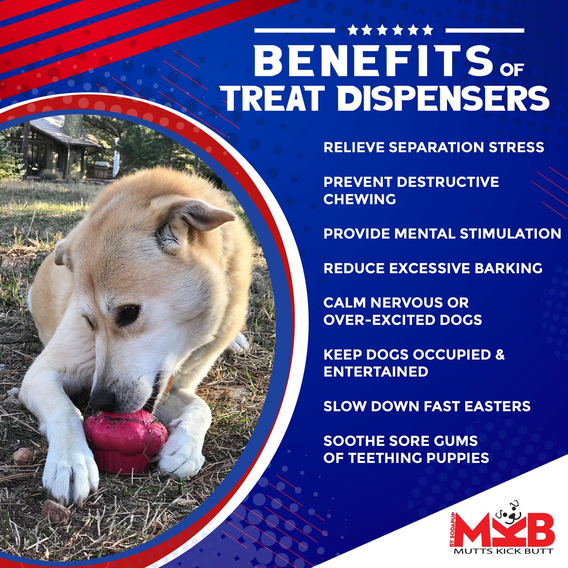 Cupcake eDispenser - Durable Rubber Chew Toy & Treat Dispenser | USA Made Rubber Dog Toys SodaPup/True Dogs, LLC