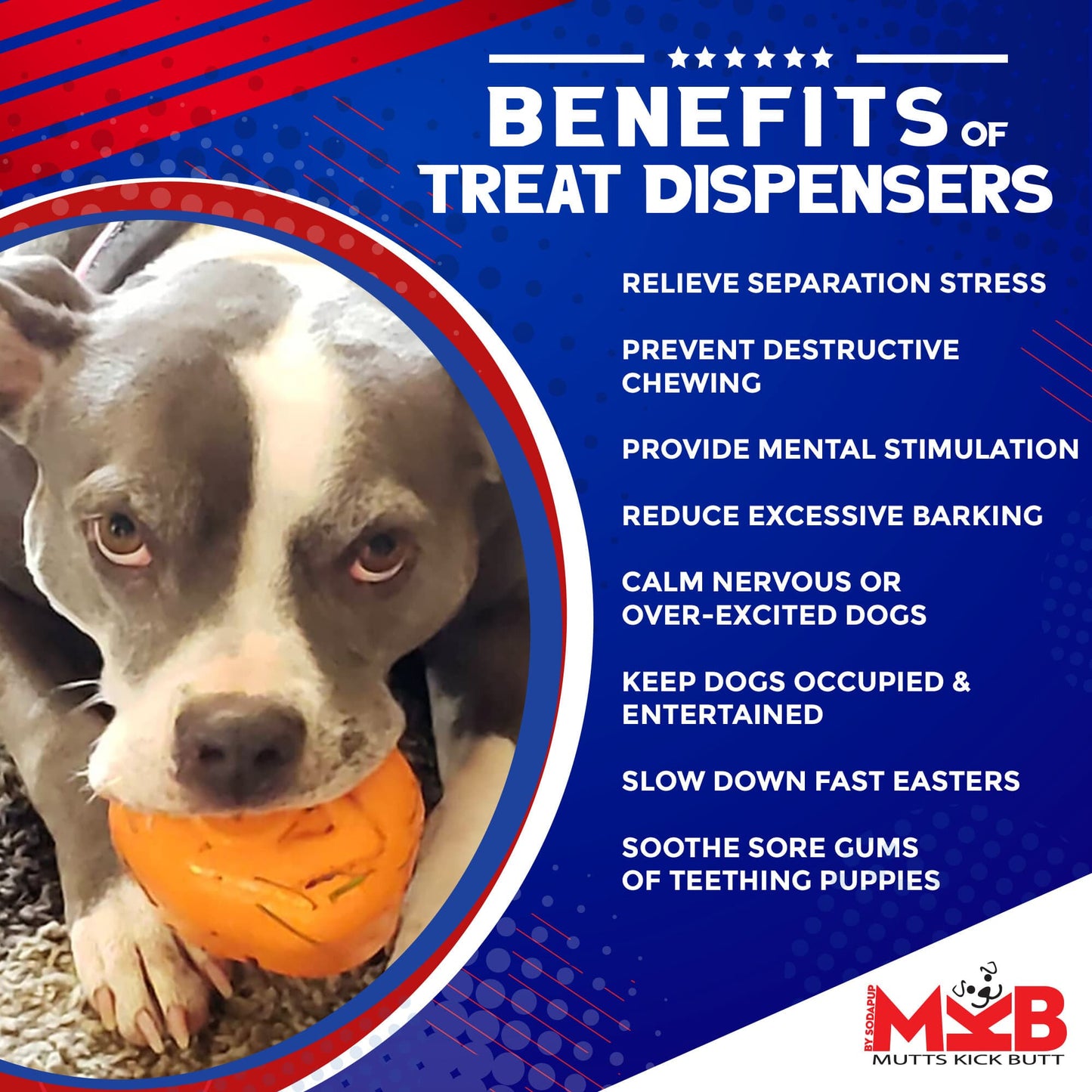 Roasted Turkey Dog Chew Toy & Treat Dispenser - USA Made | SodaPup Rubber Dog Toys SodaPup/True Dogs, LLC