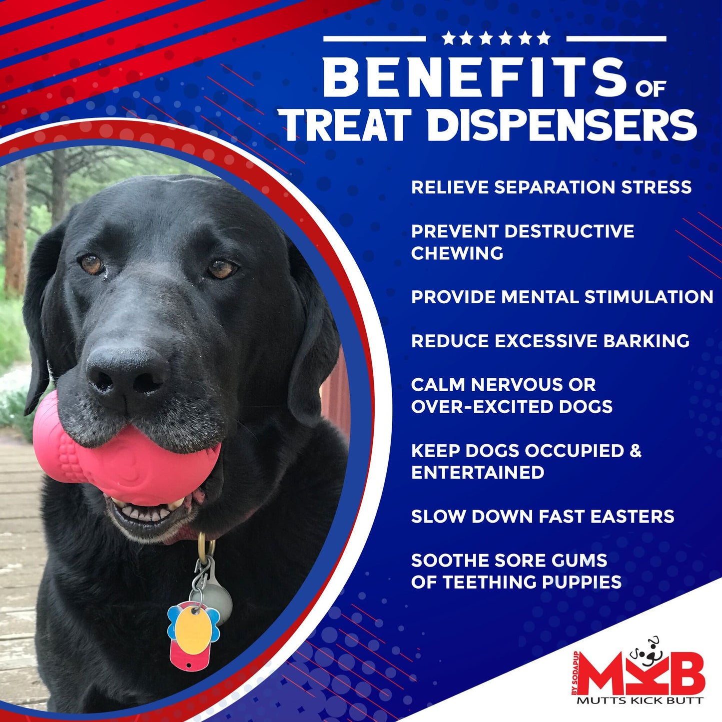 Sugar Skull Dog Chew Toy & Treat Dispenser - USA Made | SodaPup Rubber Dog Toys SodaPup/True Dogs, LLC