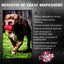 USA-K9 Grenade Rubber Dog Chew Toy | K9 Handler eDispenser Toy | Red & Blue | USA Made Rubber Dog Toys SodaPup/True Dogs, LLC