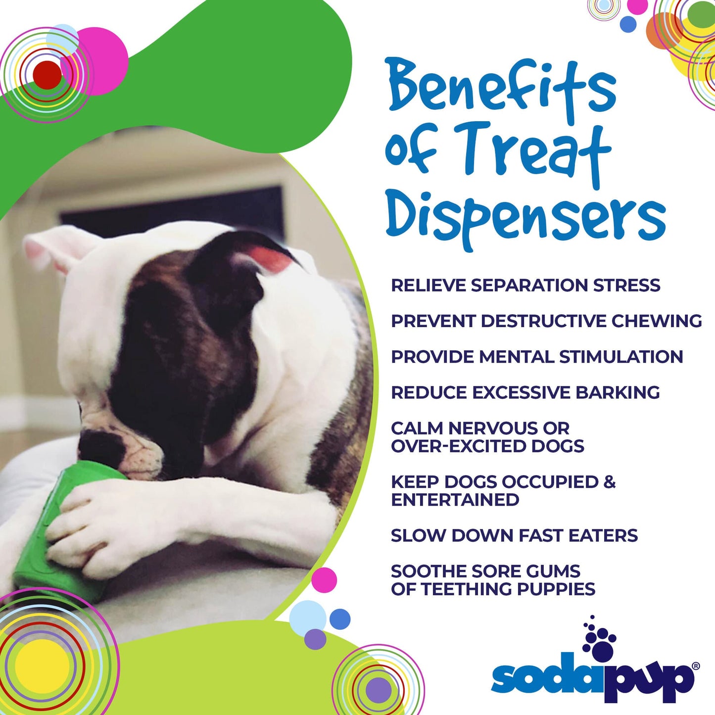 Can Toy Rubber Dog Chew Toy for Average Chewers | Treat Dispenser | USA Made Rubber Dog Toys SodaPup/True Dogs, LLC
