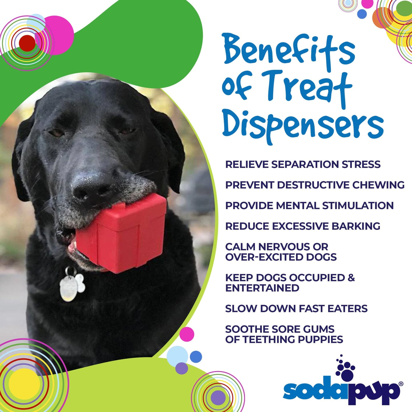 Gift Box eDispenser - Durable Rubber Treat Dispenser for Dogs | USA Made Rubber Dog Toys SodaPup/True Dogs, LLC