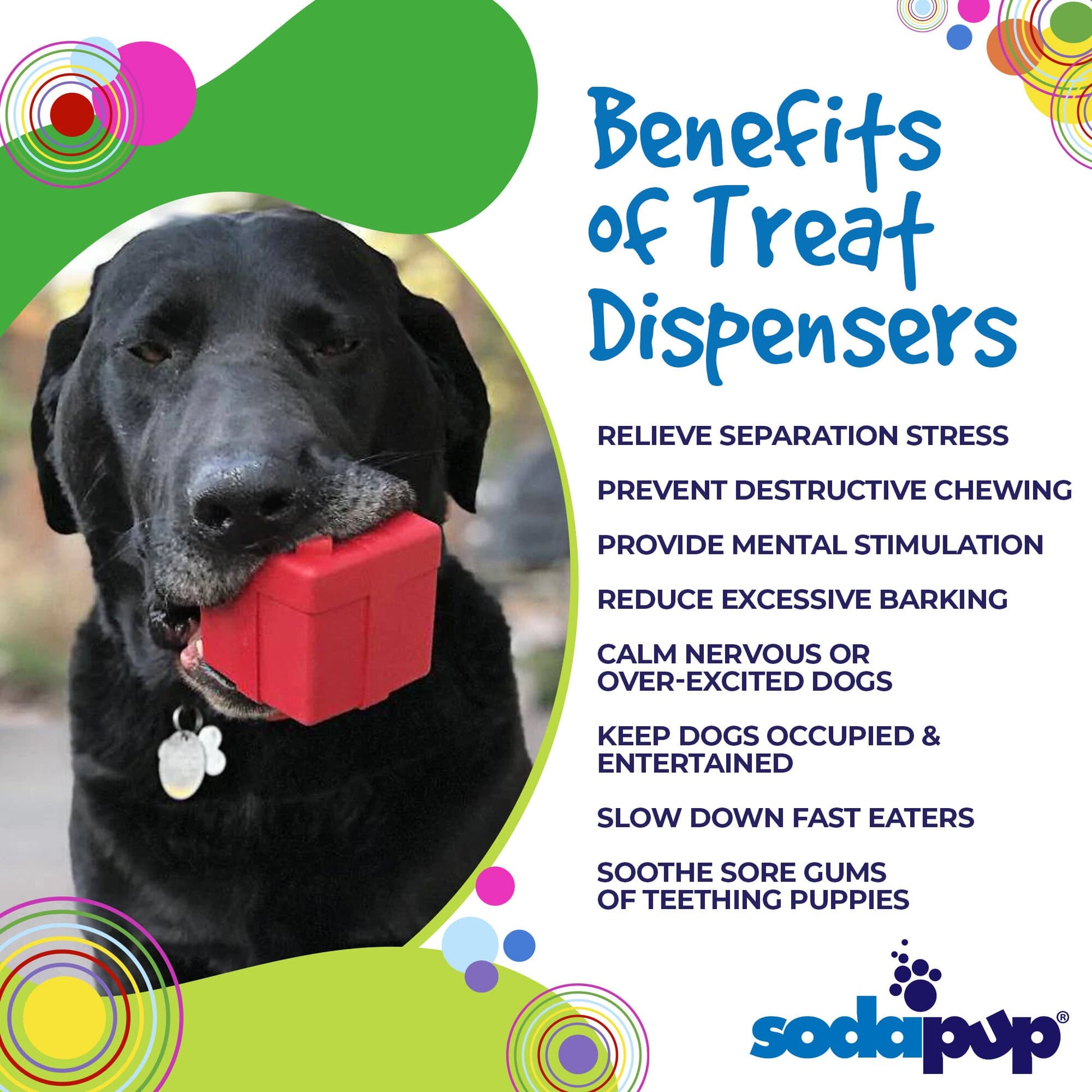 Gift Box eDispenser - Durable Rubber Treat Dispenser for Dogs | USA Made Rubber Dog Toys SodaPup/True Dogs, LLC