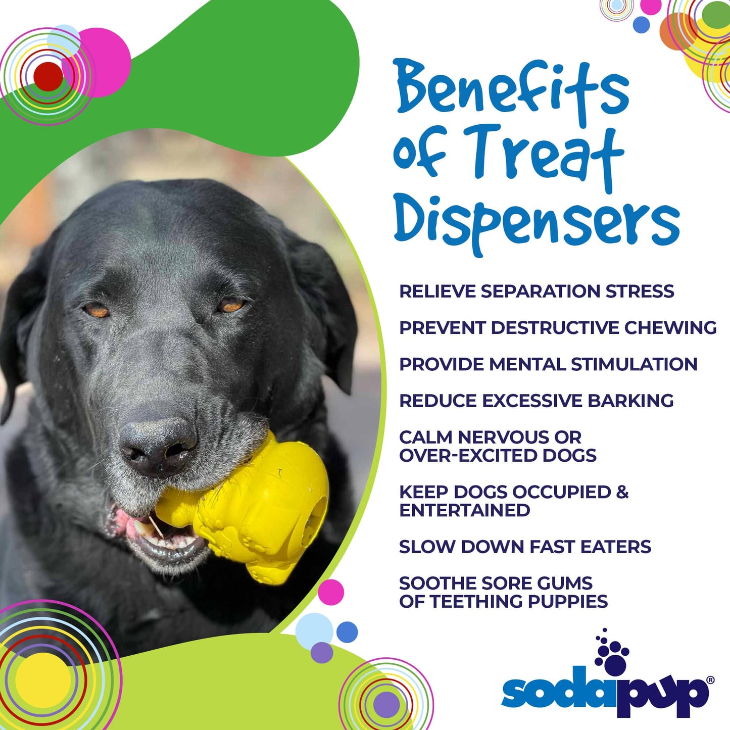 Honey Bear eDispenser - Durable Rubber Treat Dispenser for Dogs | USA Made Rubber Dog Toys SodaPup/True Dogs, LLC