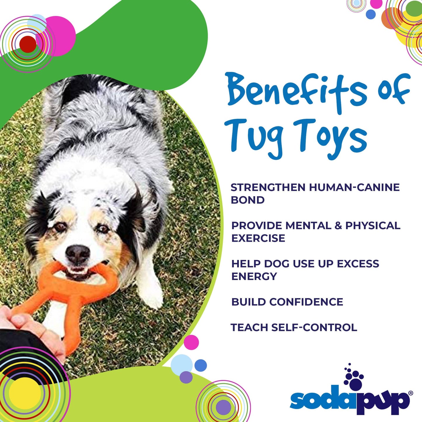Pop Top Rubber Tug Toy for Interactive Play | Heavy Chewers | USA Made | SodaPup Rubber Dog Toys SodaPup/True Dogs, LLC