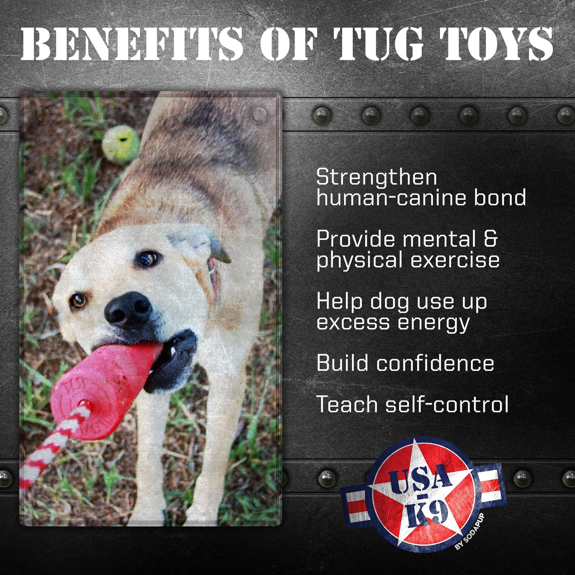 USA-K9 Firecracker Floating Training Dummy | K9 Handler Reward Toy | Red | USA Made Rubber Dog Toys SodaPup/True Dogs, LLC