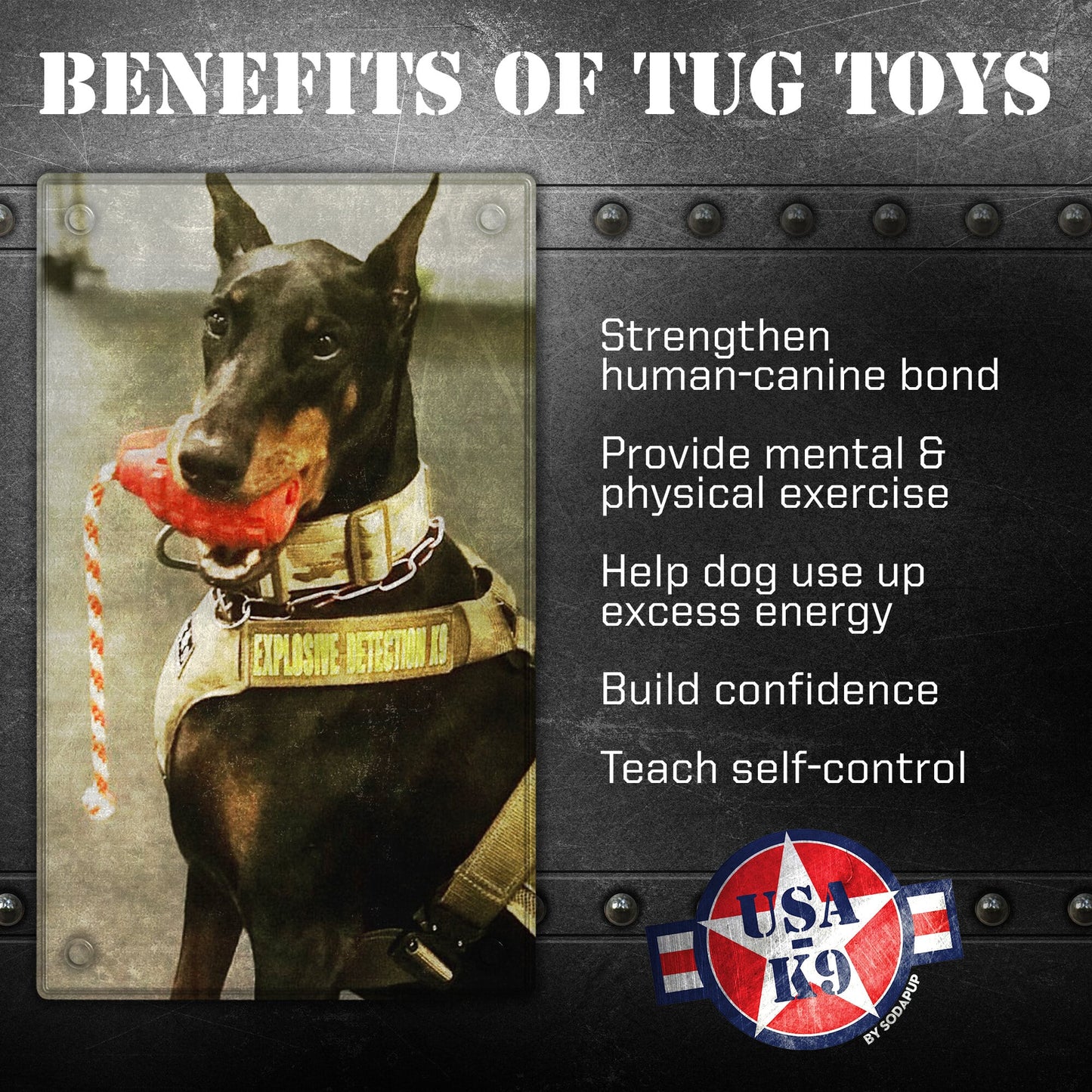 USA-K9 Grenade Rubber Dog Chew Toy | K9 Handler Reward Toy | Blue | USA Made Rubber Dog Toys SodaPup/True Dogs, LLC