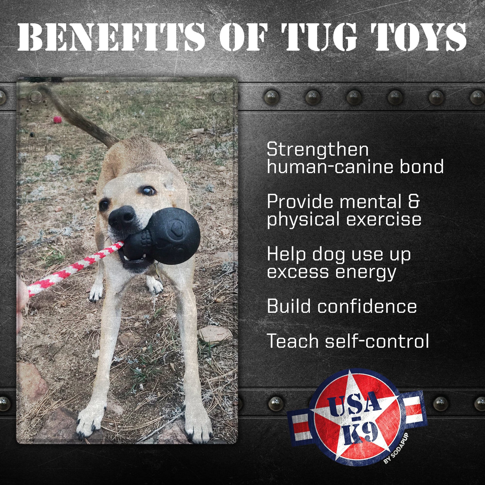 USA-K9 Magnum Skull - Black Magnum Rubber Chew Toy for Extreme Chewers | USA Made Rubber Dog Toys SodaPup/True Dogs, LLC