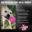 USA-K9 Skull Dog Chew Toy & Treat Dispenser - Made in USA | SodaPup Rubber Dog Toys SodaPup/True Dogs, LLC