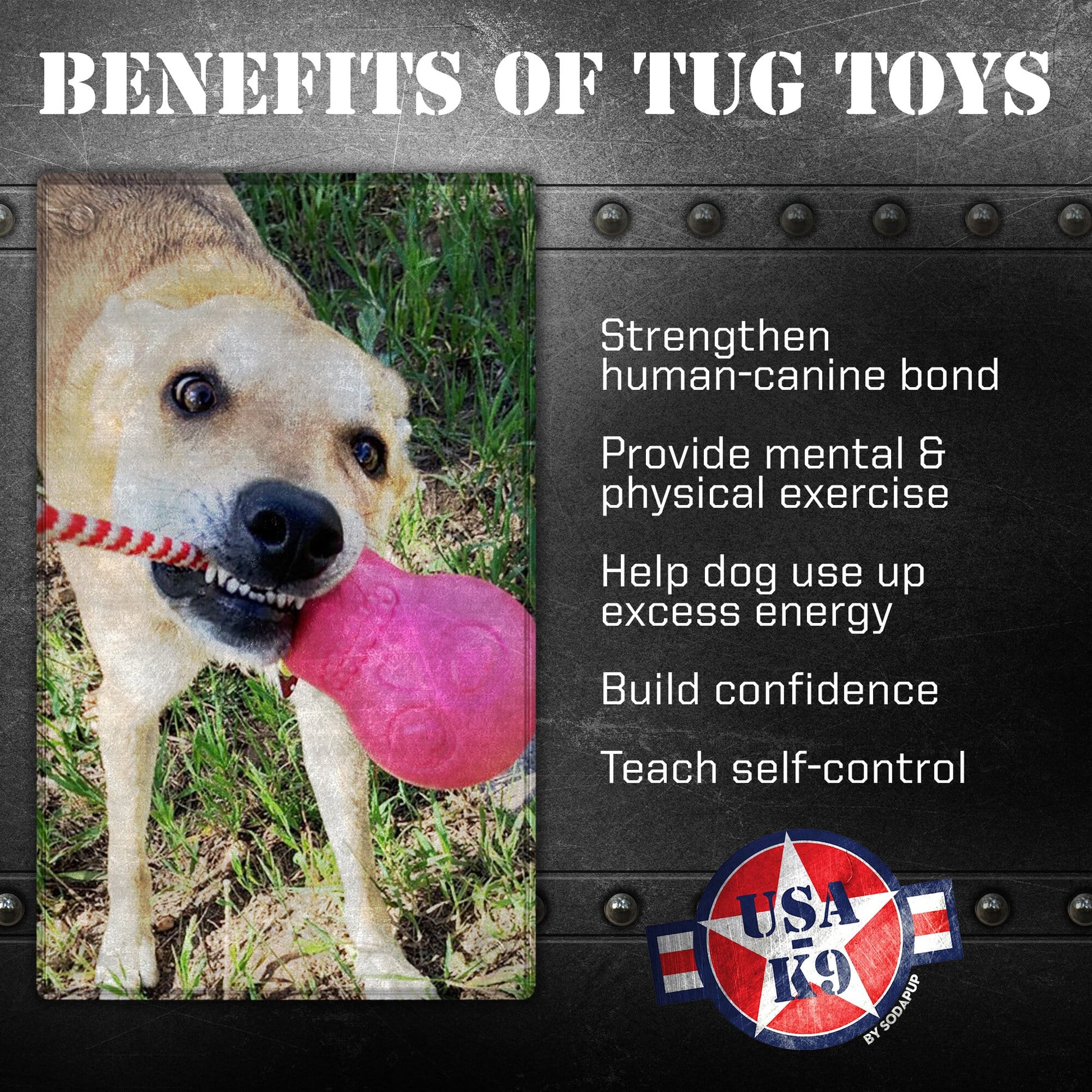 USA-K9 Skull Dog Chew Toy & Treat Dispenser - Made in USA | SodaPup Rubber Dog Toys SodaPup/True Dogs, LLC