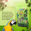 Freeze-Dried Tripack Bird Food Bird Street Bistro