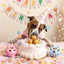 Birthday Pops Woof
