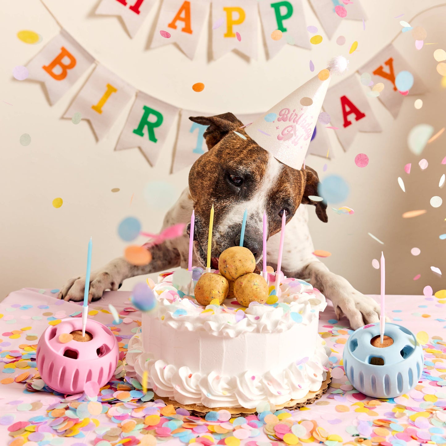 Party Pupsicle Woof