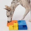 Pawzler Set - Rainbow Enrichment Product SwiftPaws
