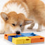 Pawzler Set - Rainbow Enrichment Product SwiftPaws