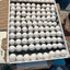 Georgia Giant Quail Hatching Eggs Quail Eggs Buddys Hatchery