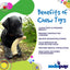 Flufflehorn Dental Antler - Indestructible Nylon Dog Chew Toy XL | USA Made Nylon Dog Toys SodaPup/True Dogs, LLC