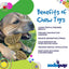 Butterfly Nylon Chew & Enrichment Toy | 2-in-1 for Aggressive Chewers | SodaPup Nylon Dog Toys SodaPup/True Dogs, LLC