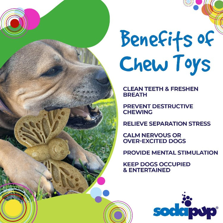 Butterfly Nylon Chew & Enrichment Toy | 2-in-1 for Aggressive Chewers | SodaPup Nylon Dog Toys SodaPup/True Dogs, LLC