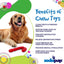 Candy Cane Nylon Dog Toy for Aggressive Chewers | USA Made | SodaPup Nylon Dog Toys SodaPup/True Dogs, LLC