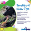 Honey Bone Dental Flower Tower - Indestructible Nylon Dog Chew Toy XL | USA Nylon Dog Toys SodaPup/True Dogs, LLC