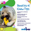 Swiss Cheese Wedge Nylon Dog Chew Toy for Aggressive Chewers | SodaPup Nylon Dog Toys SodaPup/True Dogs, LLC