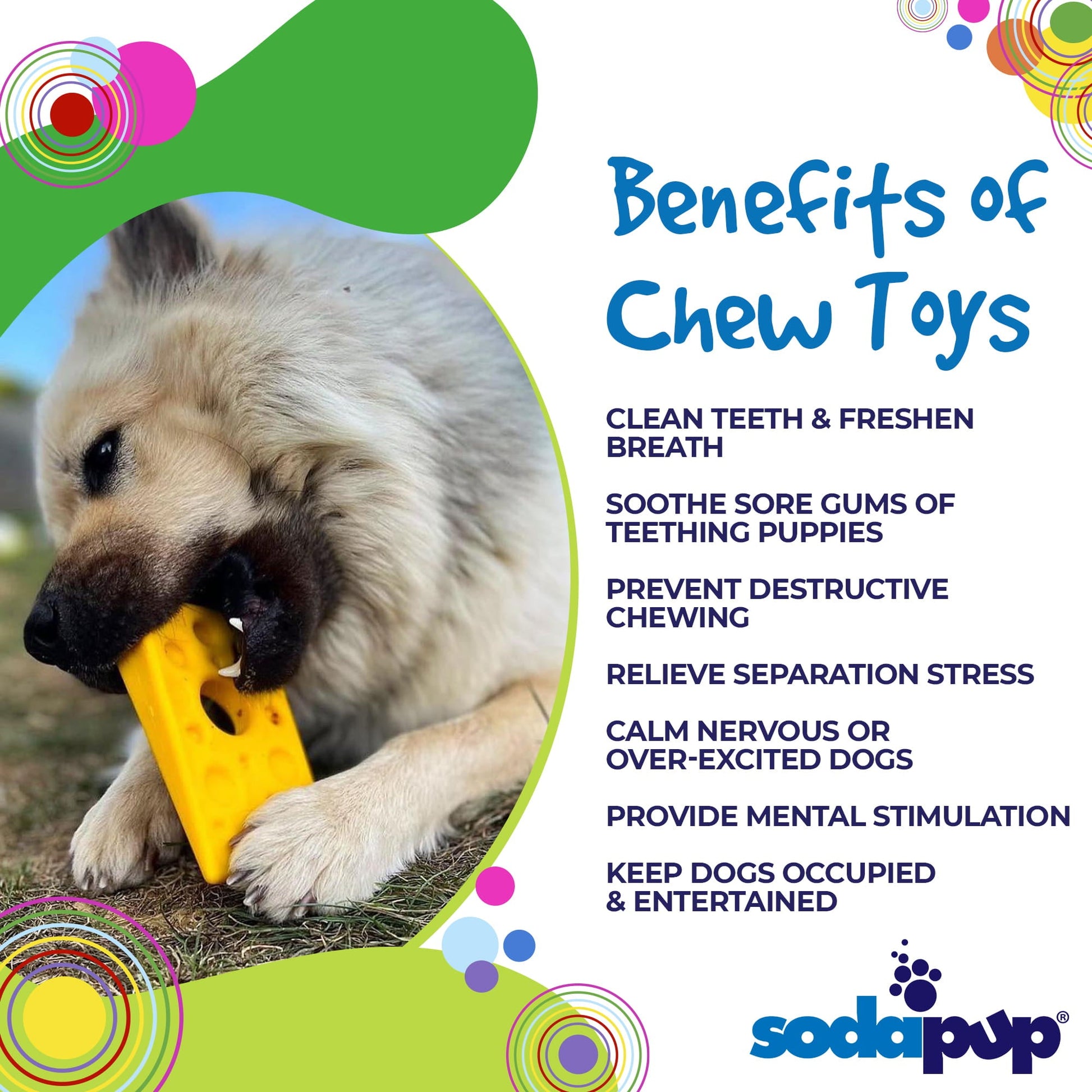 Swiss Cheese Wedge Nylon Dog Chew Toy for Aggressive Chewers | SodaPup Nylon Dog Toys SodaPup/True Dogs, LLC