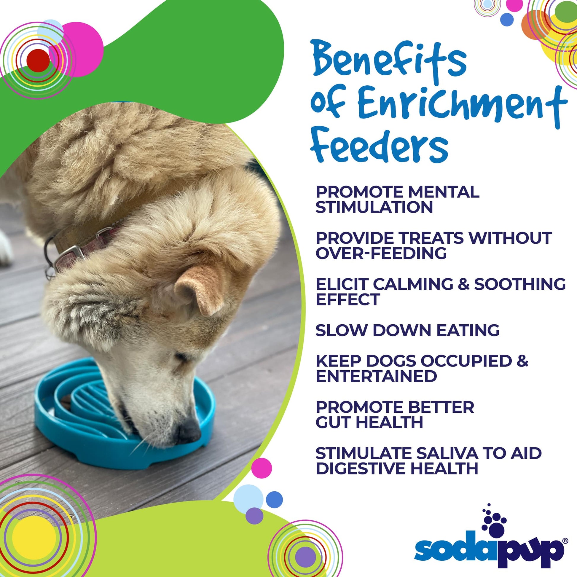 Baja Design eTray - Shallow Slow Feeder Dog Bowl for Enrichment | USA Made ETRAY SodaPup/True Dogs, LLC
