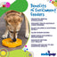 Sunflower eTray Shallow Slow Feeder Dog Bowl for Enrichment | USA Made ETRAY SodaPup/True Dogs, LLC