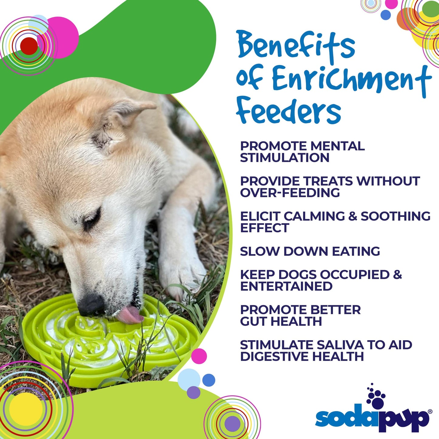 Water Frog eTray - Shallow Slow Feeder Dog Bowl for Enrichment | USA Made ETRAY SodaPup/True Dogs, LLC