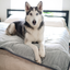PupChill™ Cooling Waterproof Blanket - Arctic Grey Paw.com