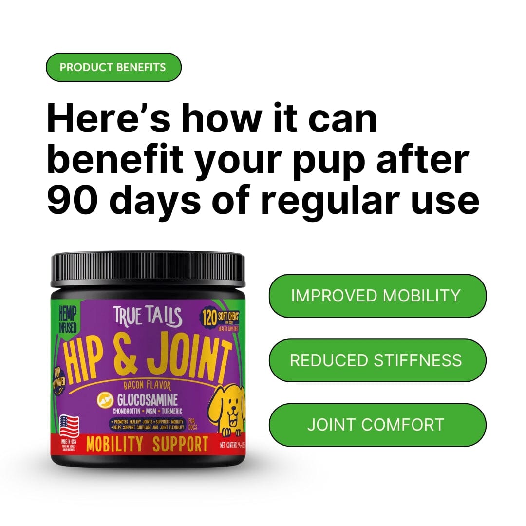 Hip & Joint With Hemp For Dogs 9oz Jar (120 count) Dog Soft Chews Dogline