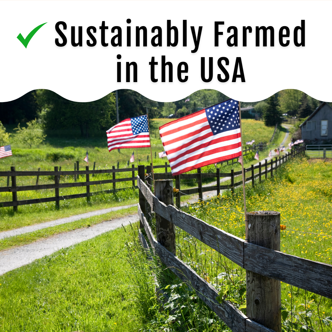 GrubFuel - Black Soldier Fly Larvae for chickens Buff Clucks